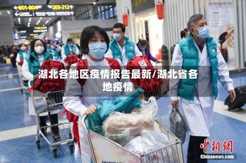 湖北各地区疫情报告最新/湖北省各地疫情