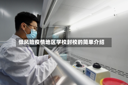 低风险疫情地区学校封校的简单介绍