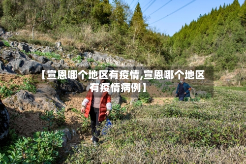 【宣恩哪个地区有疫情,宣恩哪个地区有疫情病例】