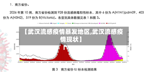 【武汉流感疫情暴发地区,武汉流感疫情现状】