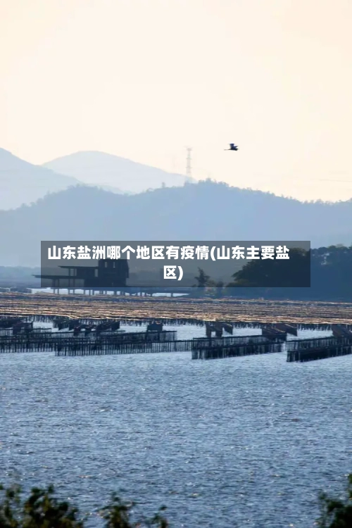 山东盐洲哪个地区有疫情(山东主要盐区)