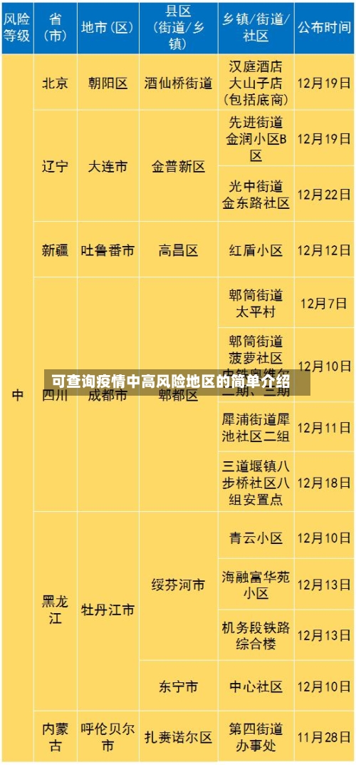 可查询疫情中高风险地区的简单介绍