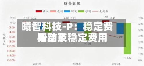 曦智科技-P：稳定费用行动及稳定费用期结束