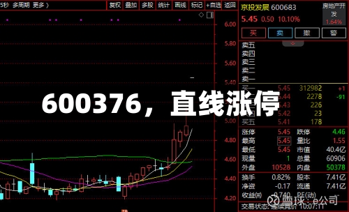 600376，直线涨停