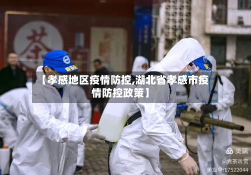 【孝感地区疫情防控,湖北省孝感市疫情防控政策】