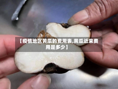 【疫情地区黄瓜的费用表,黄瓜近来费用是多少】