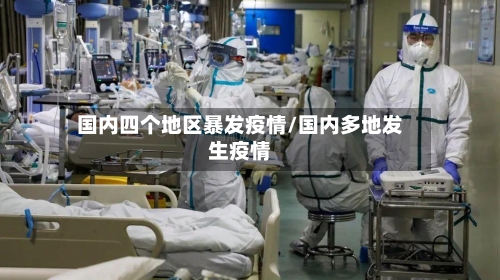 国内四个地区暴发疫情/国内多地发生疫情