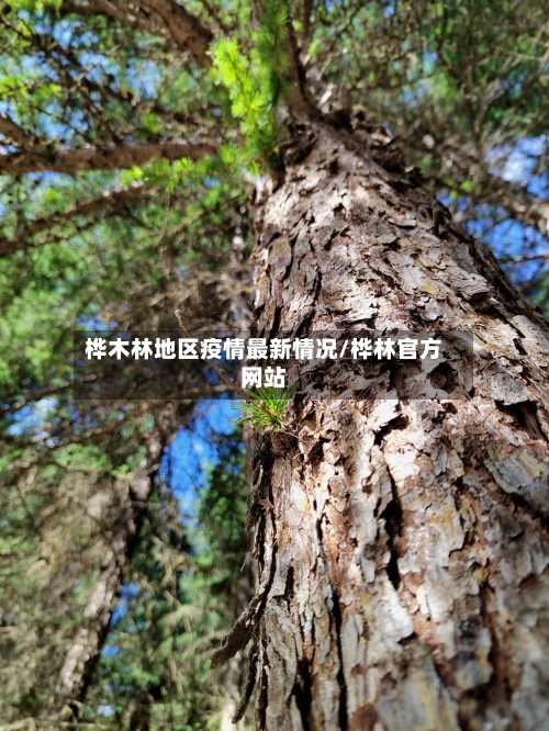 桦木林地区疫情最新情况/桦林官方网站