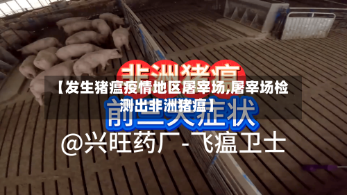 【发生猪瘟疫情地区屠宰场,屠宰场检测出非洲猪瘟】