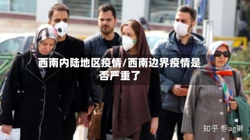 西南内陆地区疫情/西南边界疫情是否严重了