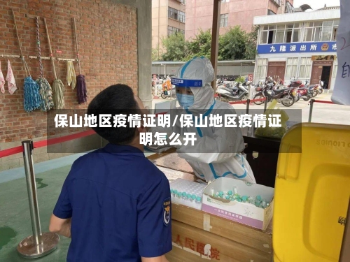 保山地区疫情证明/保山地区疫情证明怎么开