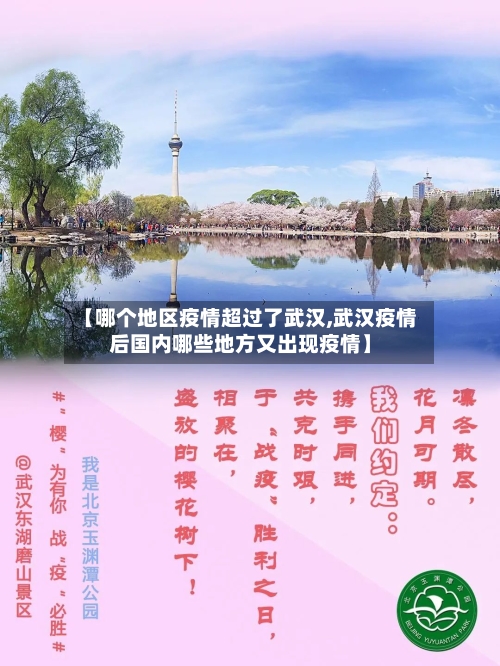 【哪个地区疫情超过了武汉,武汉疫情后国内哪些地方又出现疫情】