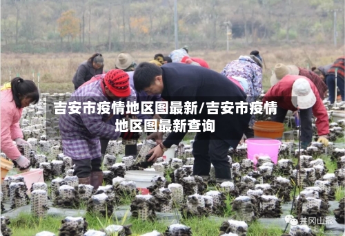 吉安市疫情地区图最新/吉安市疫情地区图最新查询