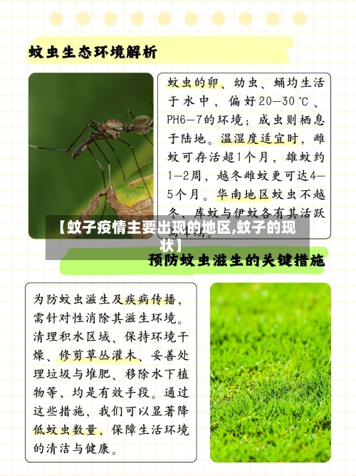 【蚊子疫情主要出现的地区,蚊子的现状】