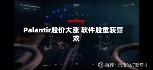 Palantir股价大涨 软件股重获喜欢