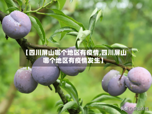 【四川屏山哪个地区有疫情,四川屏山哪个地区有疫情发生】