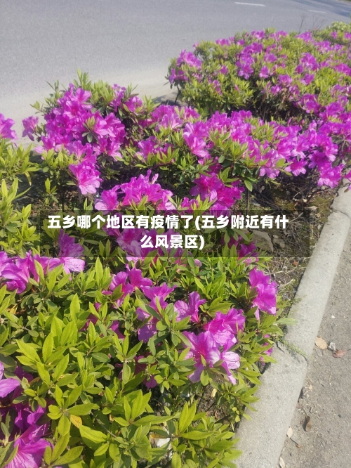 五乡哪个地区有疫情了(五乡附近有什么风景区)