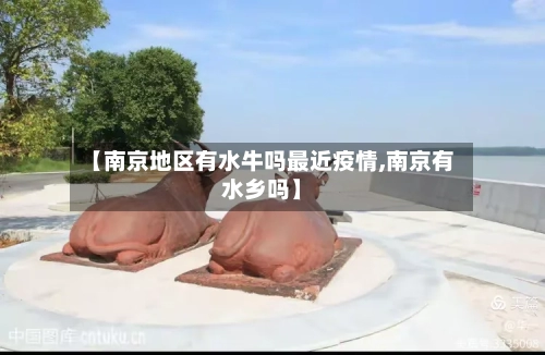 【南京地区有水牛吗最近疫情,南京有水乡吗】