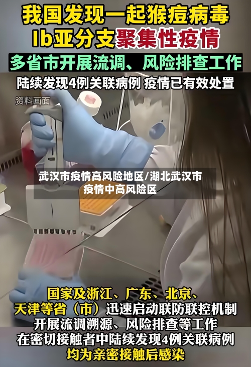 武汉市疫情高风险地区/湖北武汉市疫情中高风险区