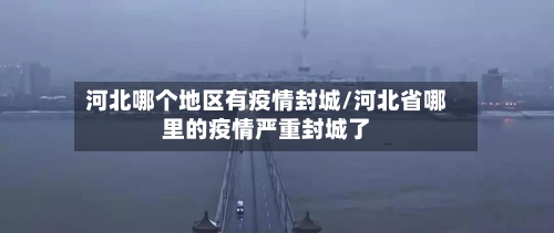 河北哪个地区有疫情封城/河北省哪里的疫情严重封城了