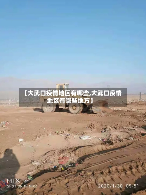 【大武口疫情地区有哪些,大武口疫情地区有哪些地方】