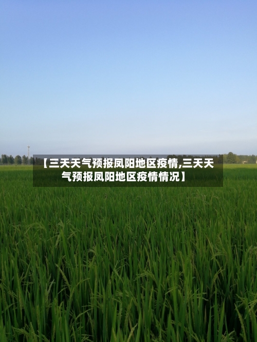 【三天天气预报凤阳地区疫情,三天天气预报凤阳地区疫情情况】